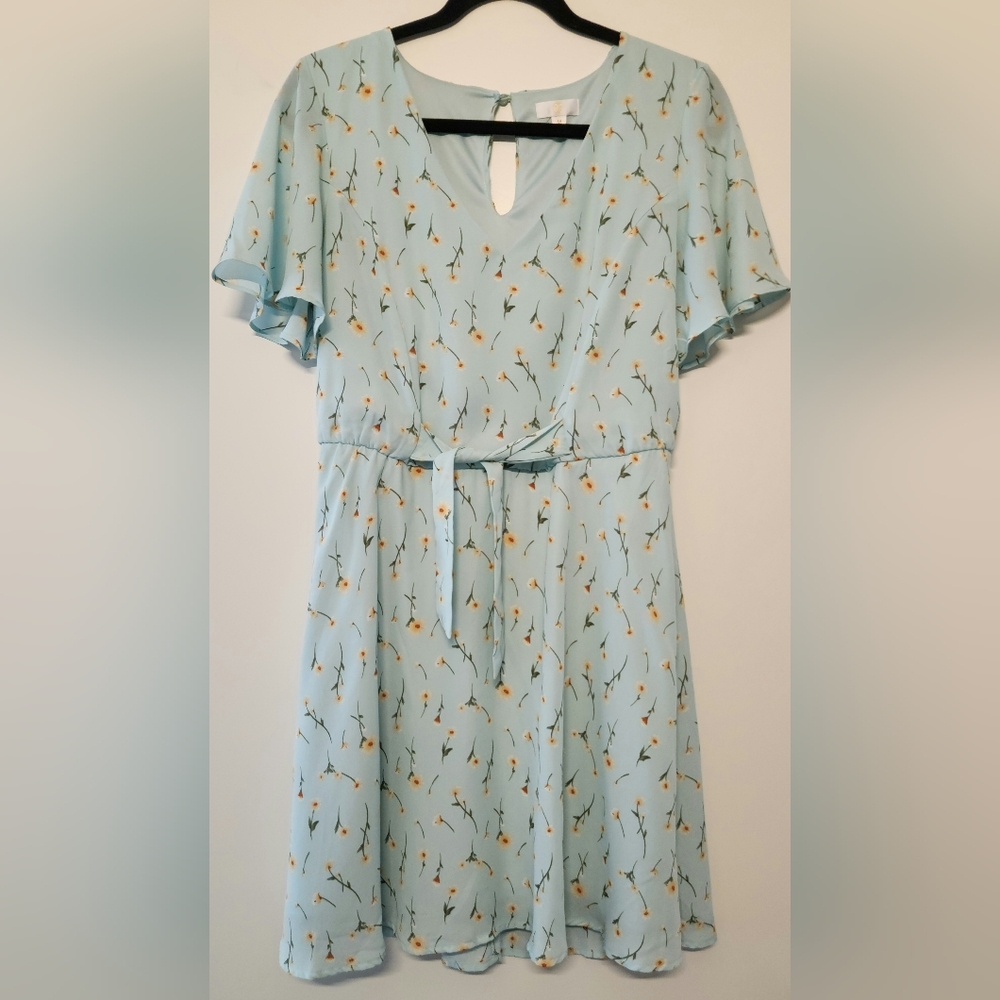 C Brand Flutter Sleeve Floral Mini Dress | Sz M | Light Blue Daisy Print Spring